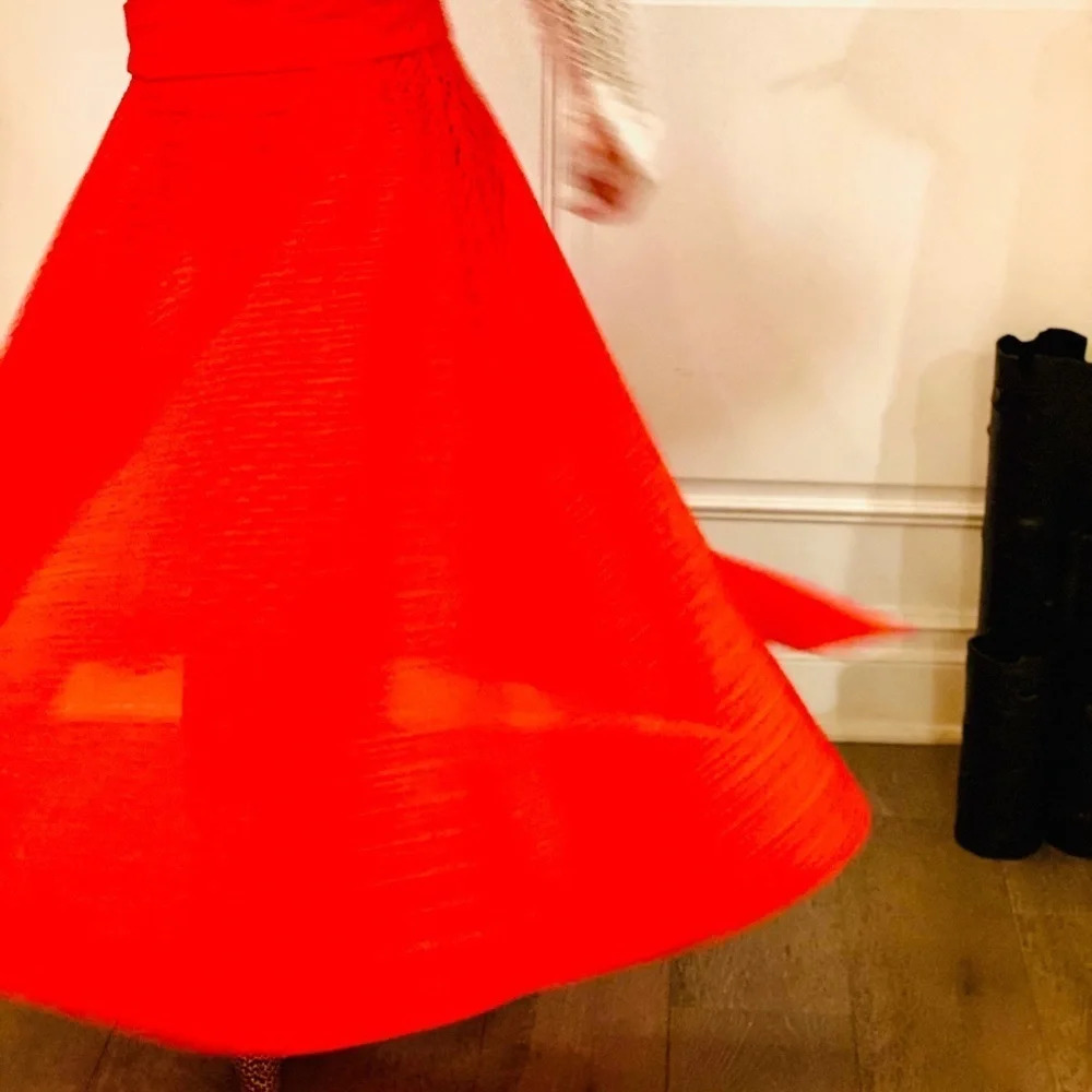 Red Lisa Fernandez button up skirt